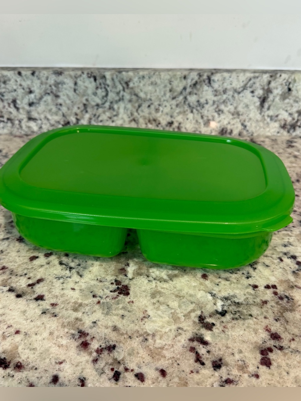 Superseal Plastic Food Storage Container in Lime Green